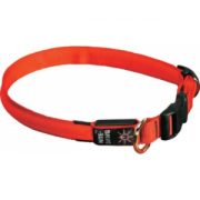 Nitelze Lighted Dog Collar - Orange (LARGE)