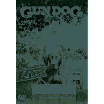 Gun Dog Intermediate Training DVD Pointing Dogs